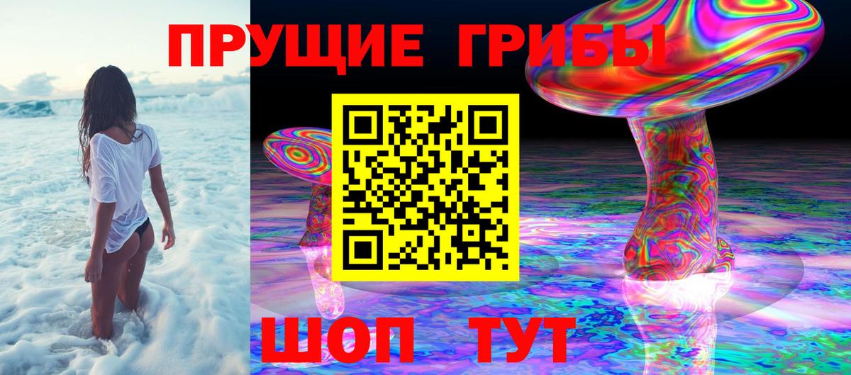 Баксан  Псилоцибиновые грибы Cubensis  Вход с VPN 